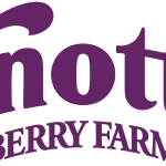 Knott's Berry Farm Purple Logo - Coaster Kings