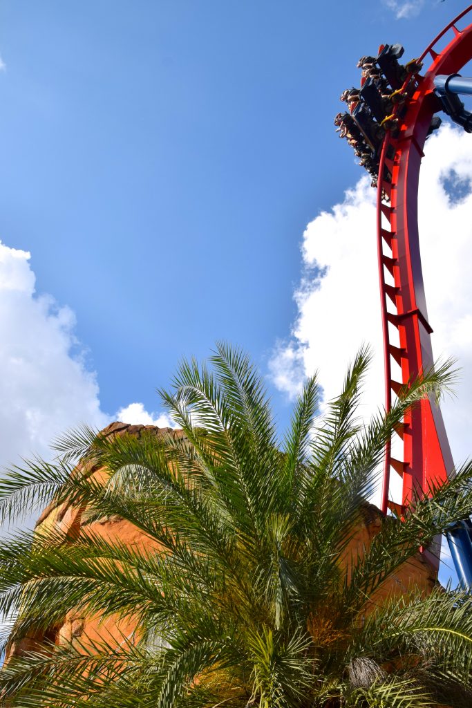 Busch Gardens' new fiery roller coaster 'Phoenix Rising' set to