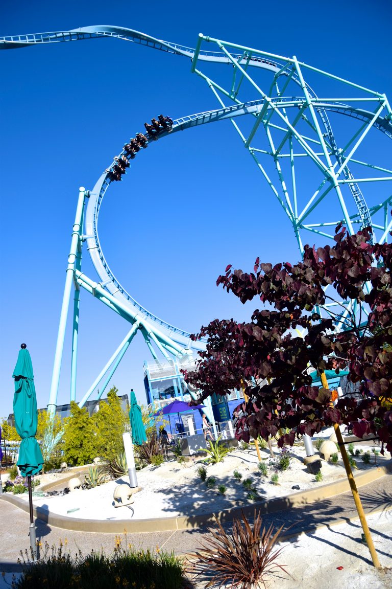 Electric Eel SeaWorld San Diego's New Coaster! Coaster Kings