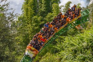 Cheetah Hunt