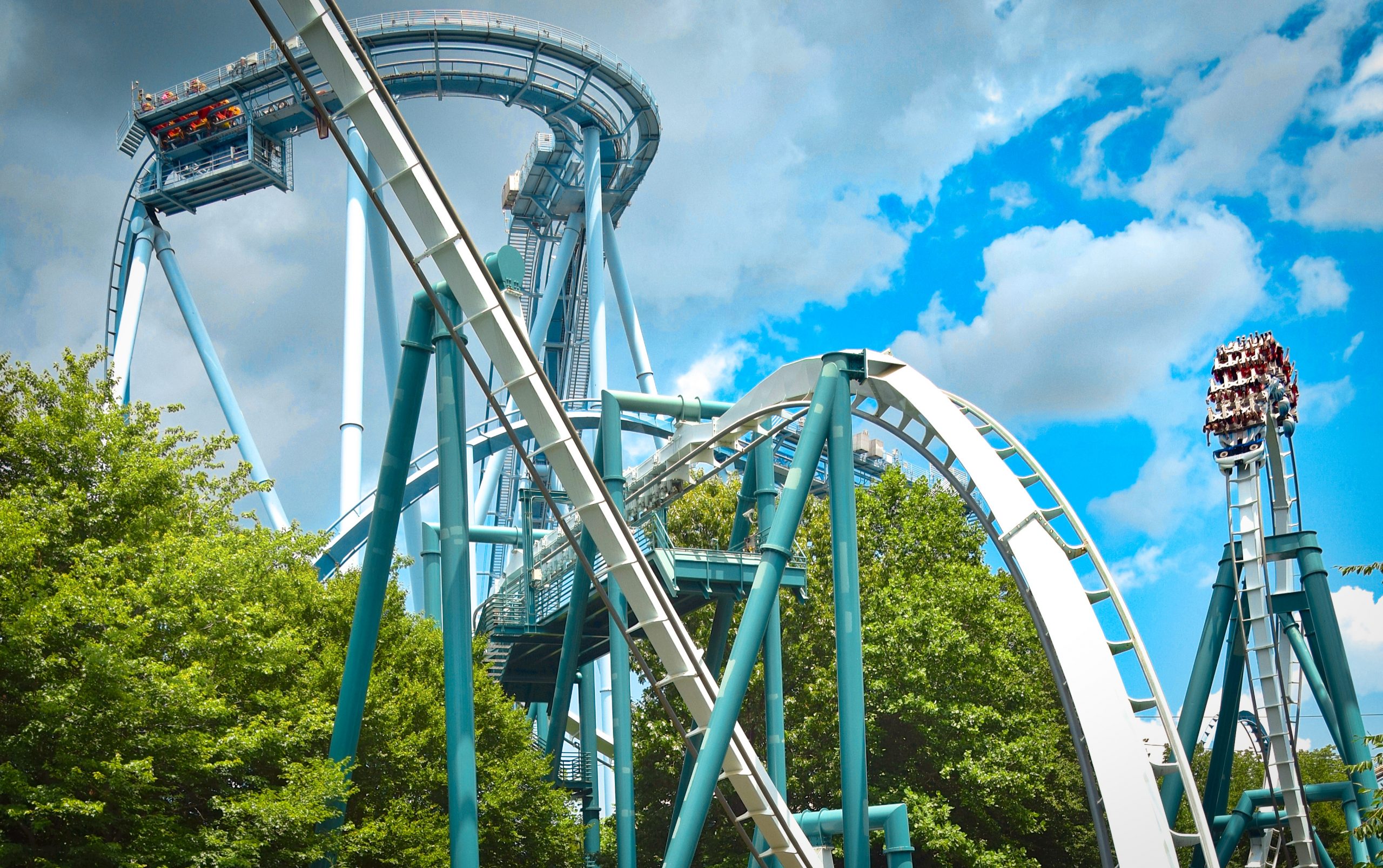 The Fastest Roller Coasters At Busch Gardens, Ranked