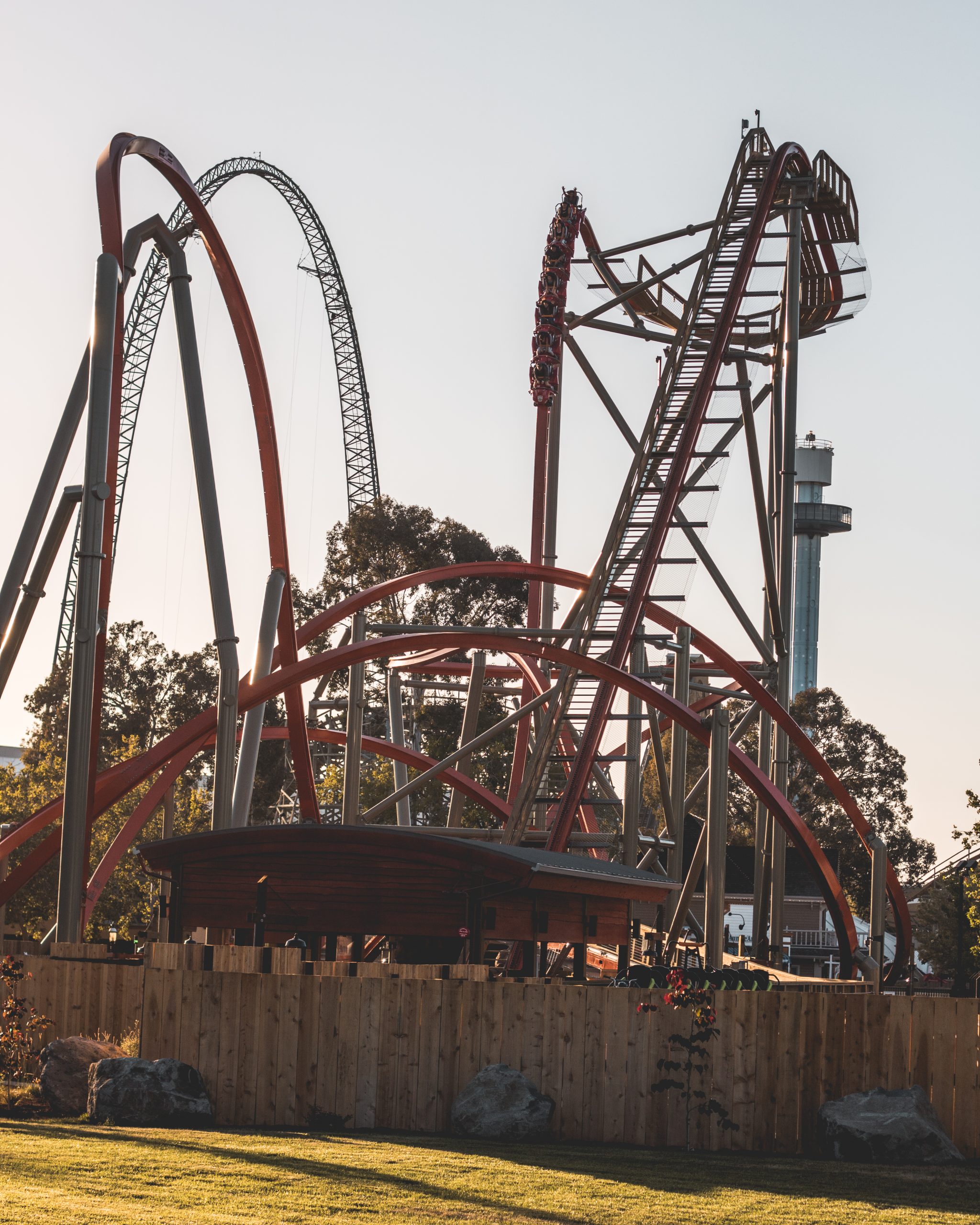 California's Awesome Roller Coasters