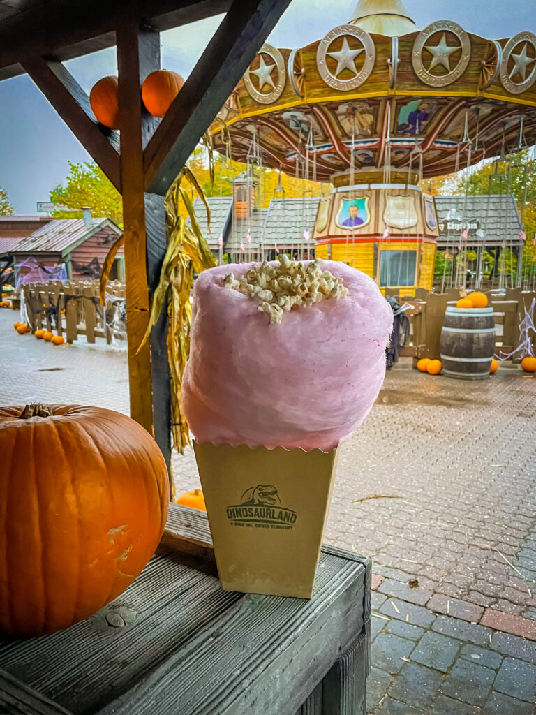 Popcorn and candy floss at djurs somerland