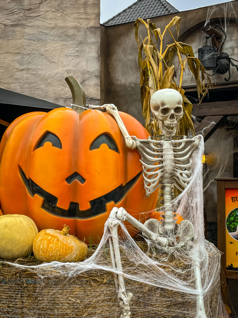 halloween, pumpkin and skeleton