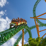 Cheetah Hunt