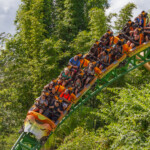 Cheetah Hunt
