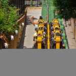 Cheetah Hunt