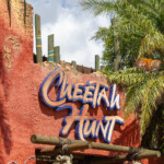 Cheetah Hunt