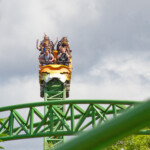 Cheetah Hunt