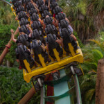 Kumba