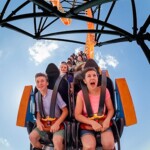 Tigris Busch Gardens Tampa Bay