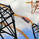 Tigris Busch Gardens Tampa Bay